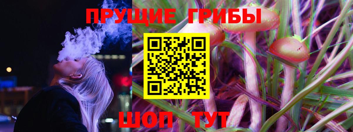Псилоцибиновые грибы GOLDEN TEACHER  Вход с VPN  Галлюциногенные грибы Cubensis  Можга 